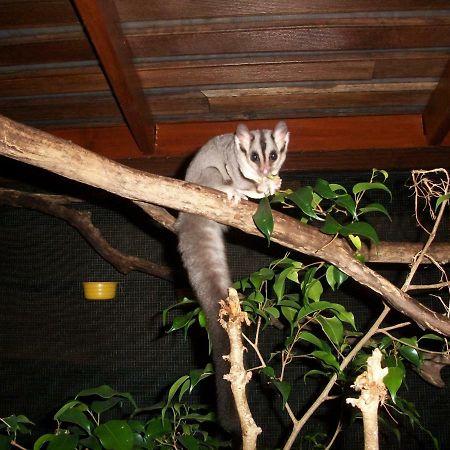 אגנס ווטר Forest Lodge: Little Villa מראה חיצוני תמונה