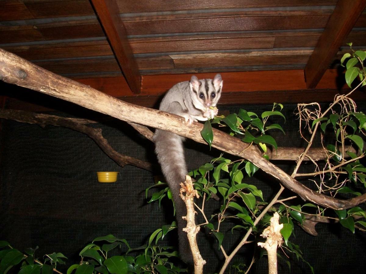 אגנס ווטר Forest Lodge: Little Villa מראה חיצוני תמונה